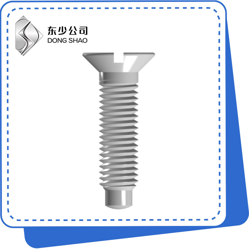 Slotted Countersunk Head Vis ak pwen chen konplè